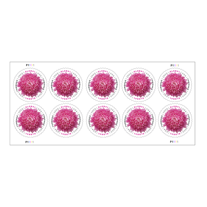 2020 Globe Chrysanthemum First-Class Mail International® | Forever Stamps US Postage Stamps