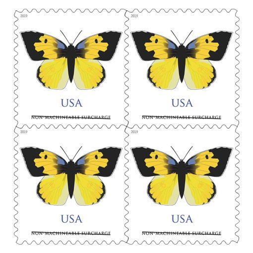 2019 California Dogface Butterfly Forever®Stamp | Forever Stamps US Postage Stamps