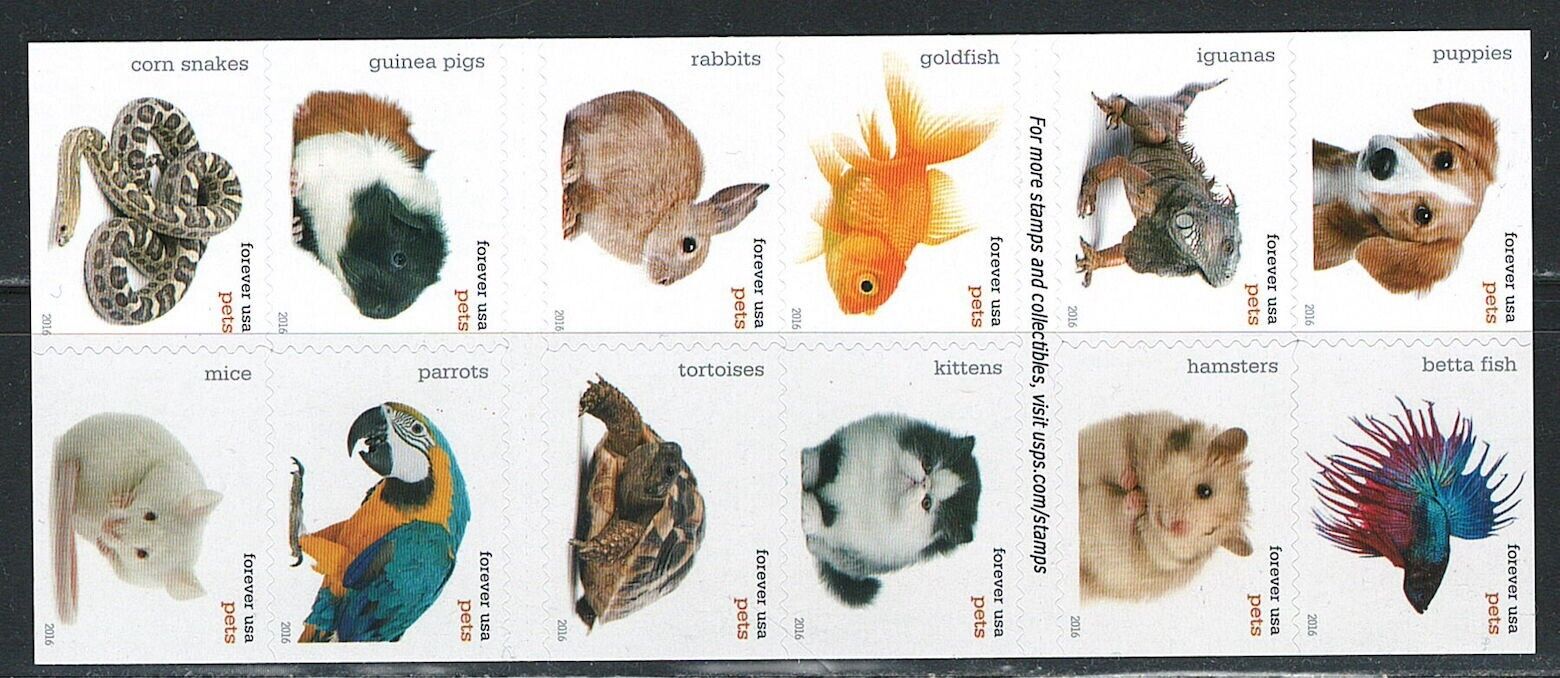 2016 Pets Celebrate Animals stamps | Forever Stamps US Postage Stamps