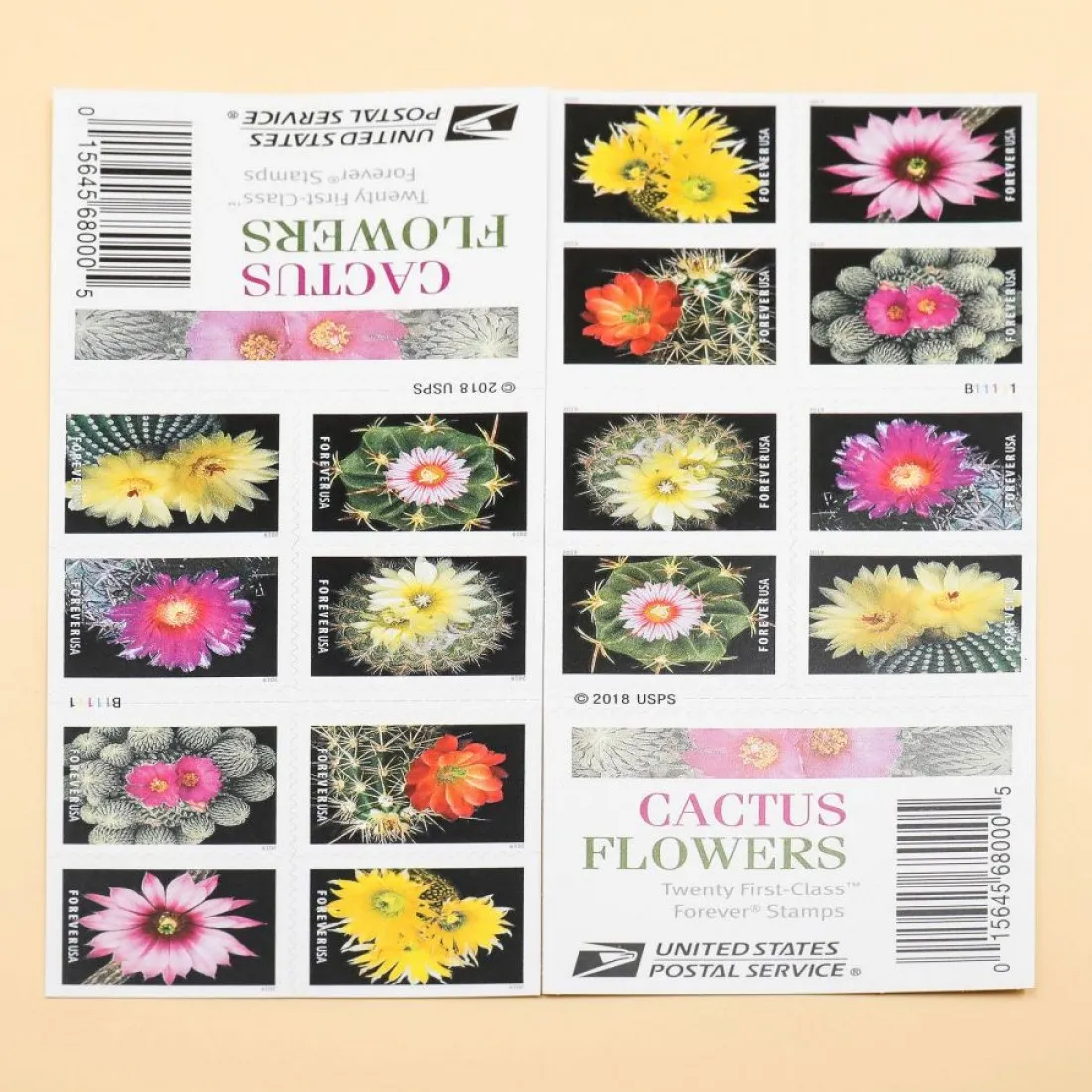 2019 Cactus Flowers Forever Stamps | Forever Stamps US Postage Stamps