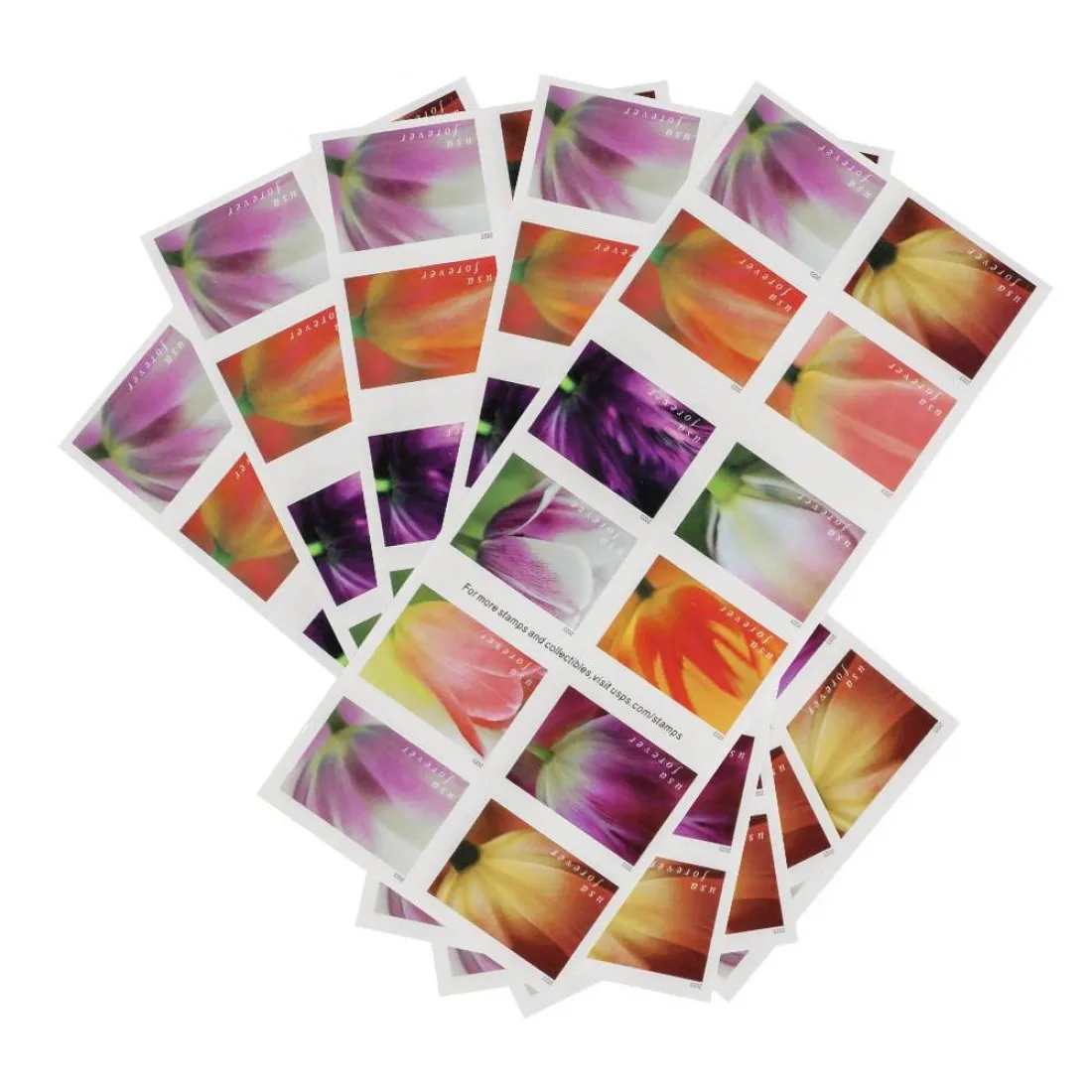 2023 Tulip Blossoms | Forever Stamps US Postage Stamps