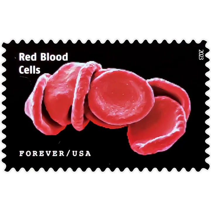 2023 Life Magnified Stamps | Forever Stamps US Postage Stamps