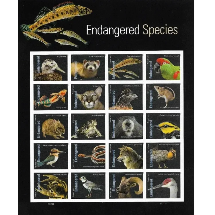 2023 Endangered Species Stamps | Forever Stamps US Postage Stamps