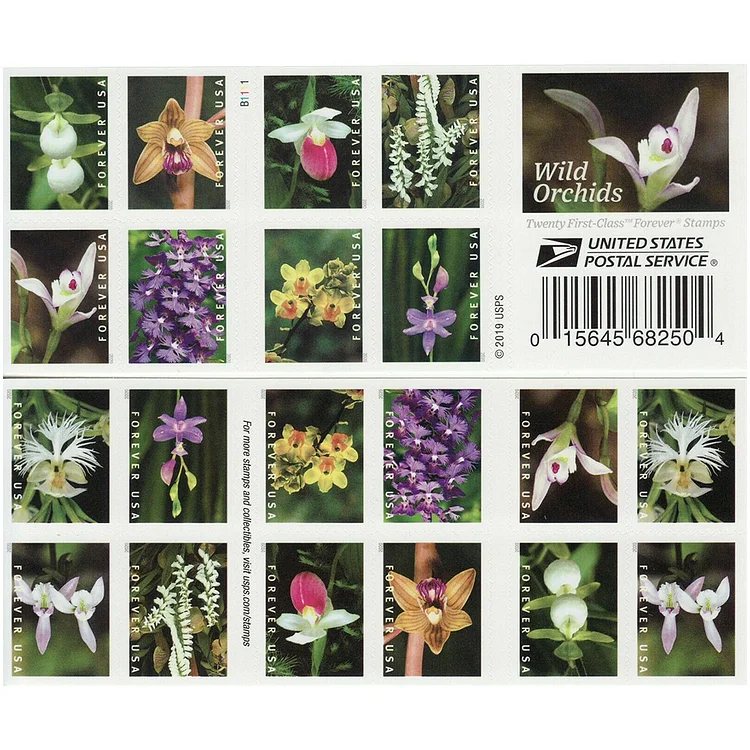 2020 Wild Orchids Stamps | Forever Stamps US Postage Stamps