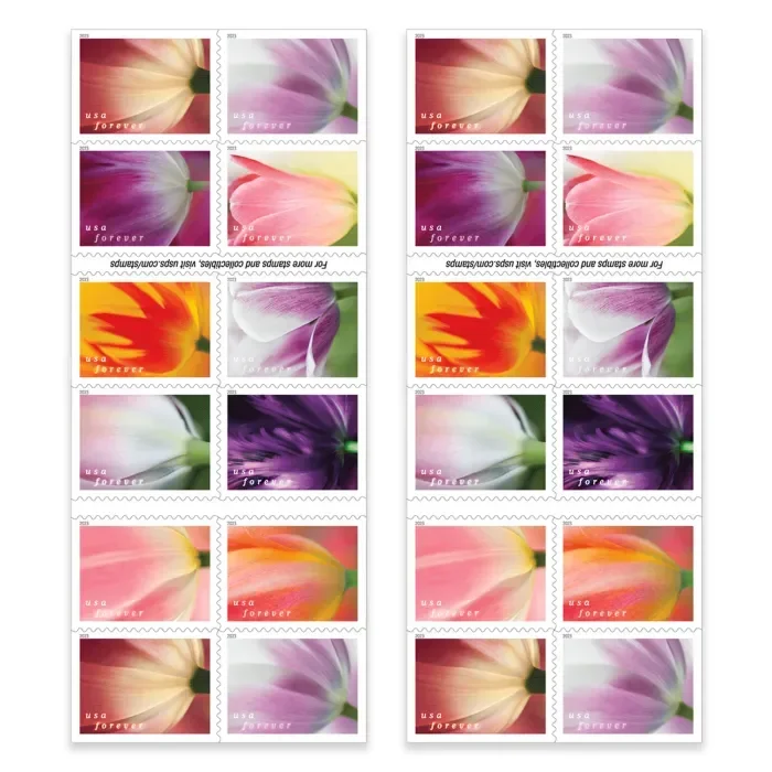 2023 Tulip Blossoms | Forever Stamps US Postage Stamps