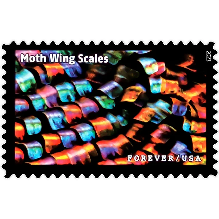 2023 Life Magnified Stamps | Forever Stamps US Postage Stamps