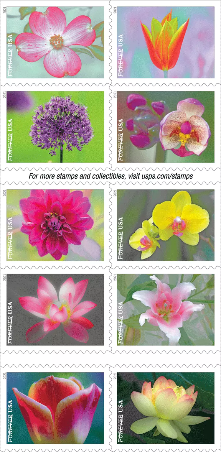 2021 Garden Beauty Stamps | Forever Stamps US Postage Stamps