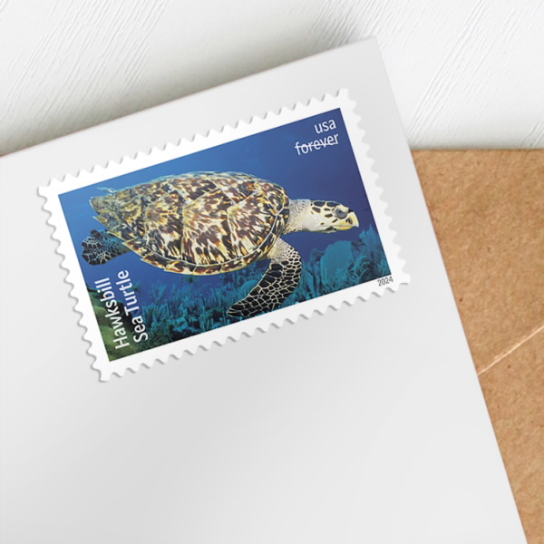 2024 Protect Sea Turtles Stamps | Forever Stamps US Postage Stamps