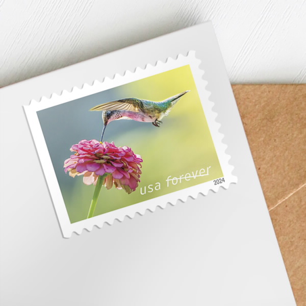 2024 Garden Delights Stamps | Forever Stamps US Postage Stamps