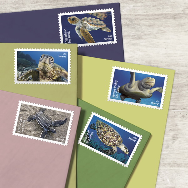2024 Protect Sea Turtles Stamps | Forever Stamps US Postage Stamps
