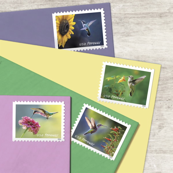 2024 Garden Delights Stamps | Forever Stamps US Postage Stamps