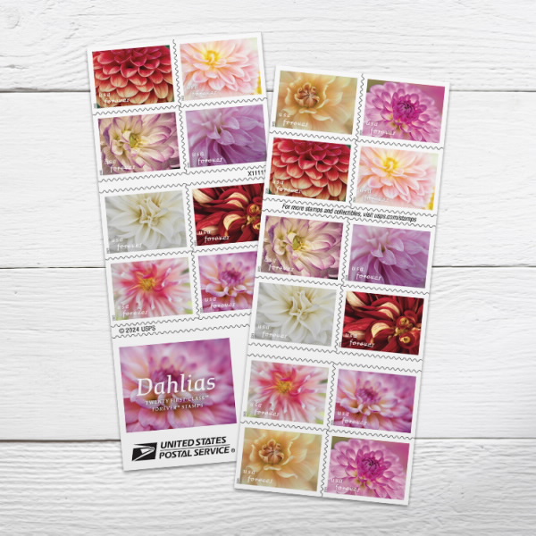 2025 Forever Stamps Dahlias Stamps 500 pcs | Forever Stamps US Postage Stamps