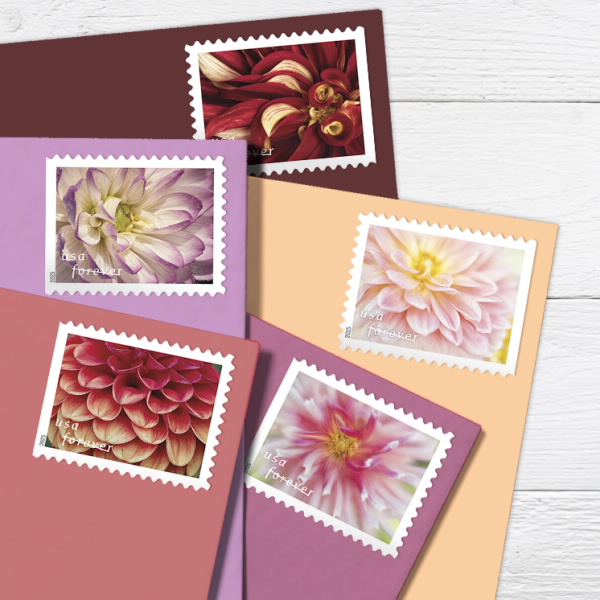 2025 Forever Stamps Dahlias Stamps | Forever Stamps US Postage Stamps