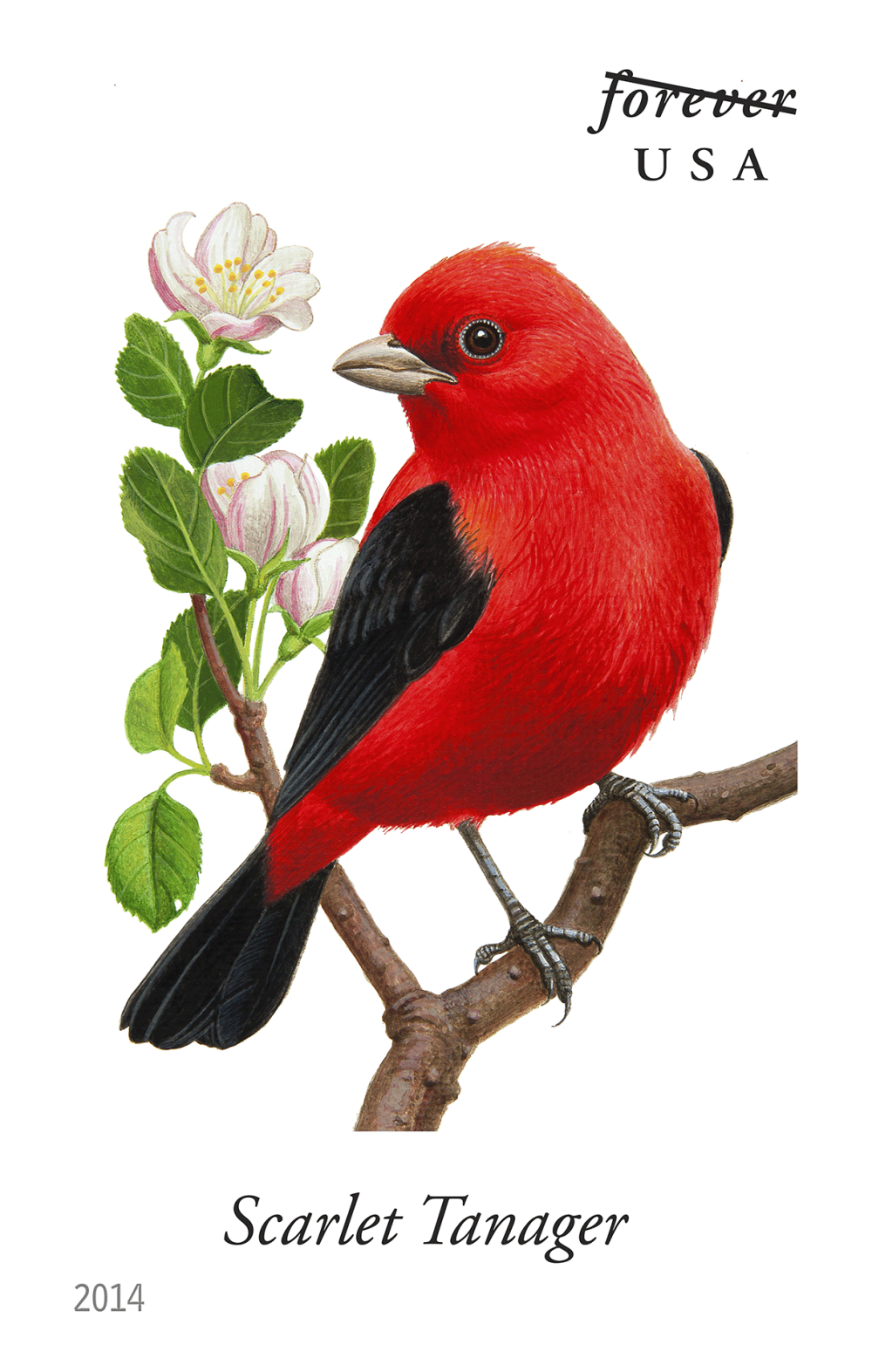 2014 Song Birds Stamps | Forever Stamps US Postage Stamps