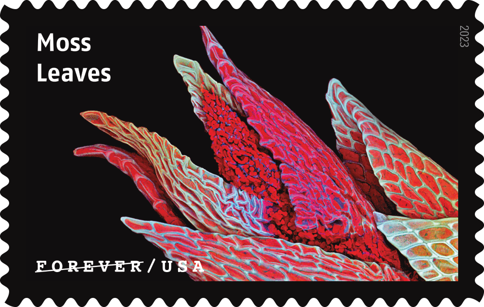 2023 Life Magnified Stamps | Forever Stamps US Postage Stamps