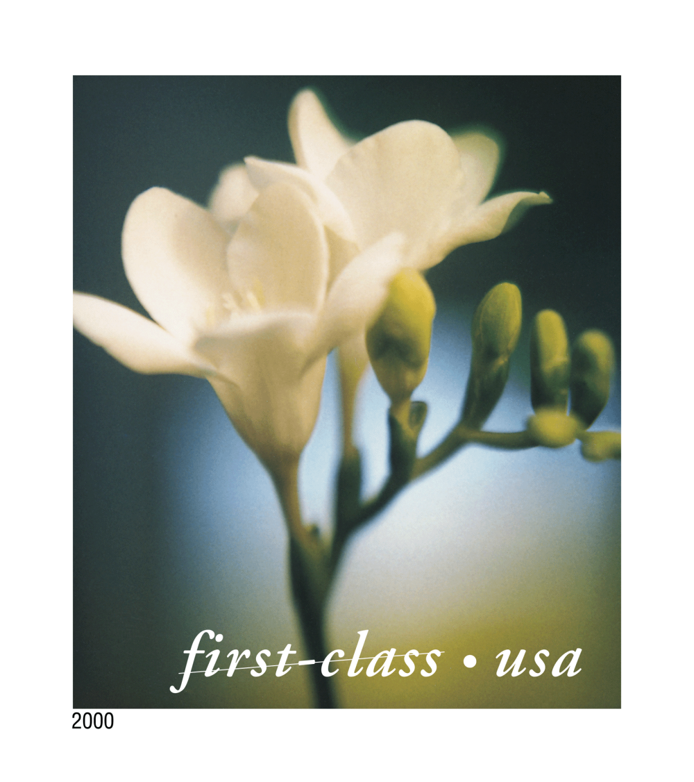 2000 Flowers Stamps | Forever Stamps US Postage Stamps