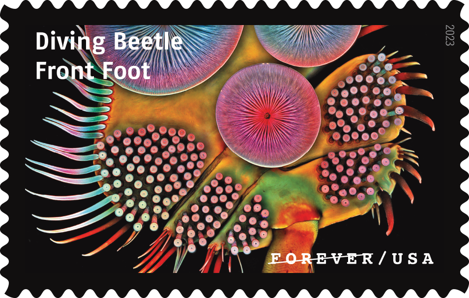 2023 Life Magnified Stamps | Forever Stamps US Postage Stamps