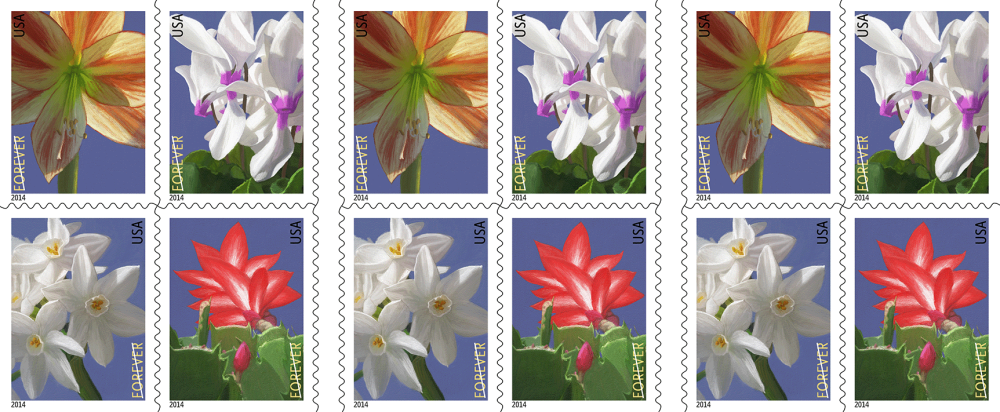 2014 Winter Flowers Stamps | Forever Stamps US Postage Stamps