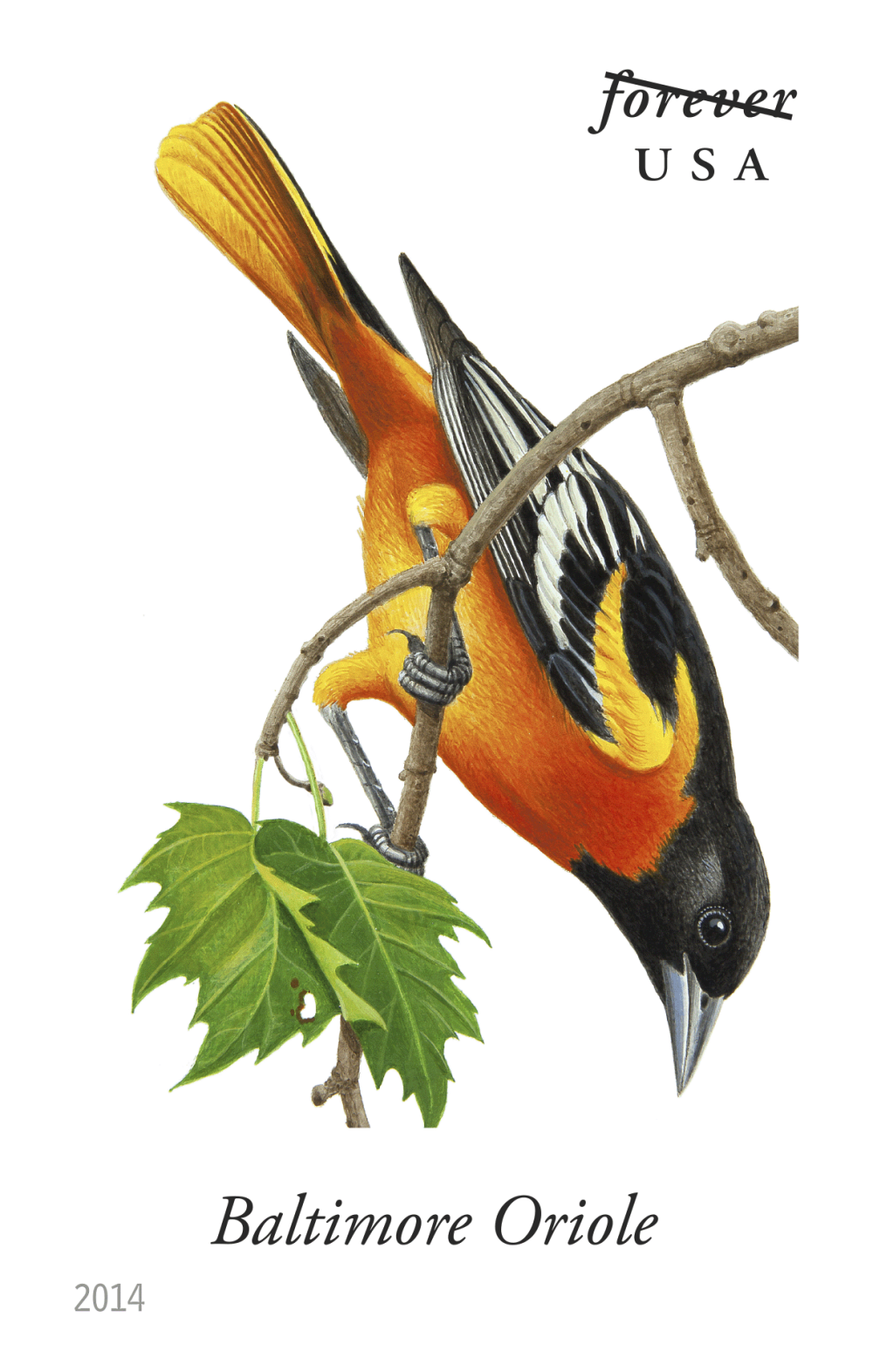 2014 Song Birds Stamps | Forever Stamps US Postage Stamps