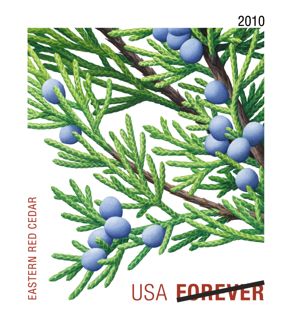 2010 Evergreens Stamps | Forever Stamps US Postage Stamps