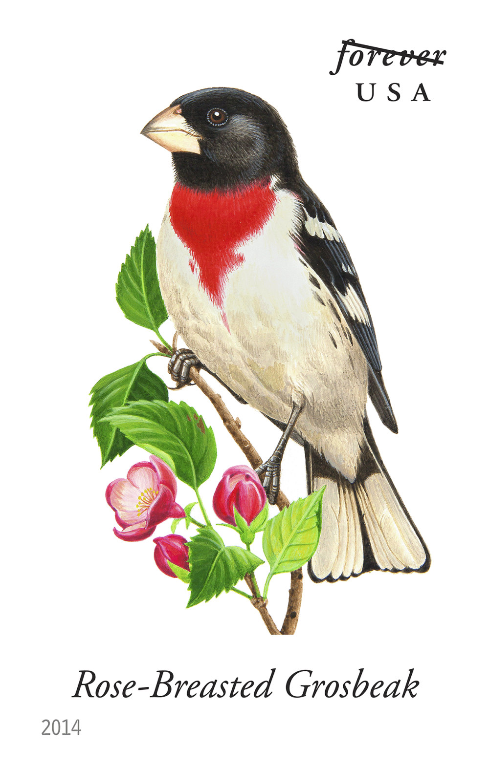 2014 Song Birds Stamps | Forever Stamps US Postage Stamps