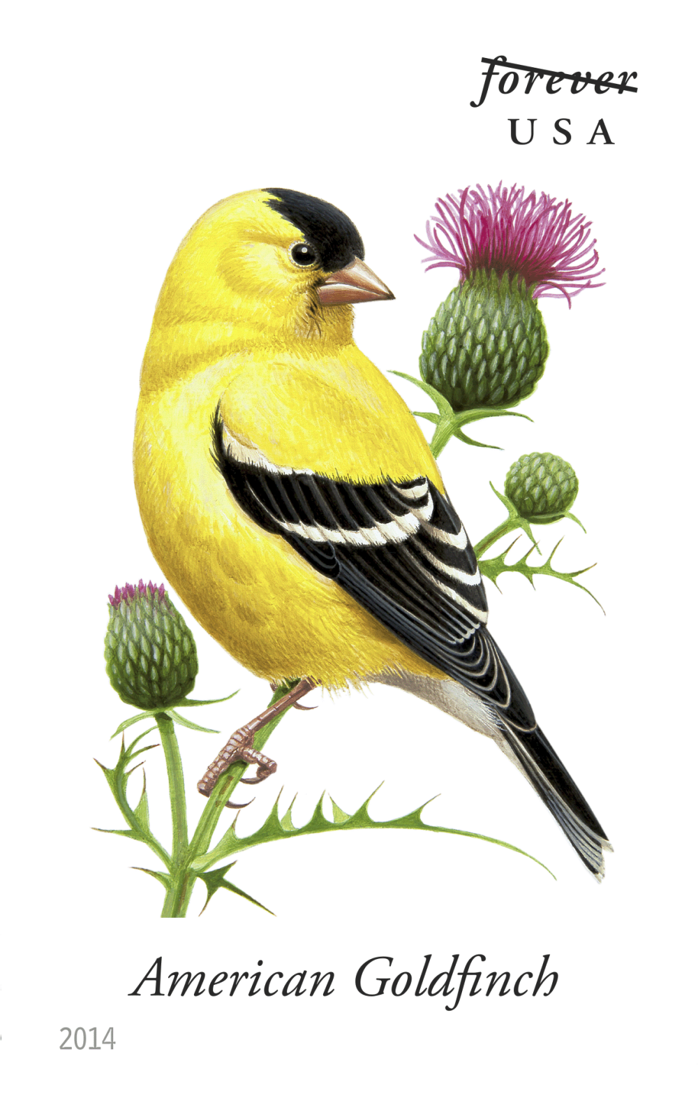 2014 Song Birds Stamps | Forever Stamps US Postage Stamps