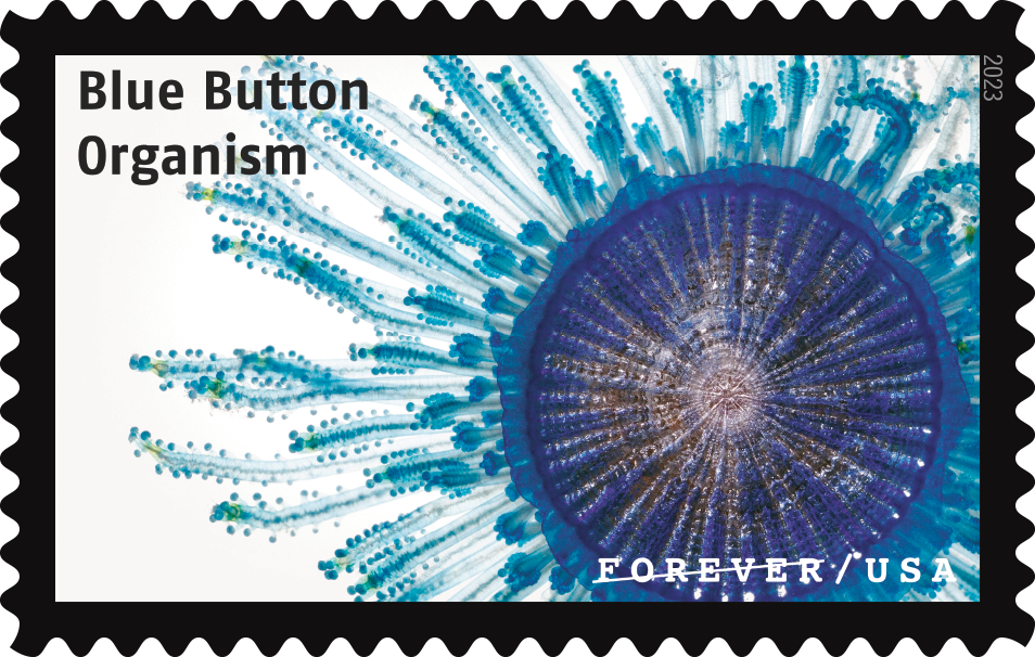 2023 Life Magnified Stamps | Forever Stamps US Postage Stamps