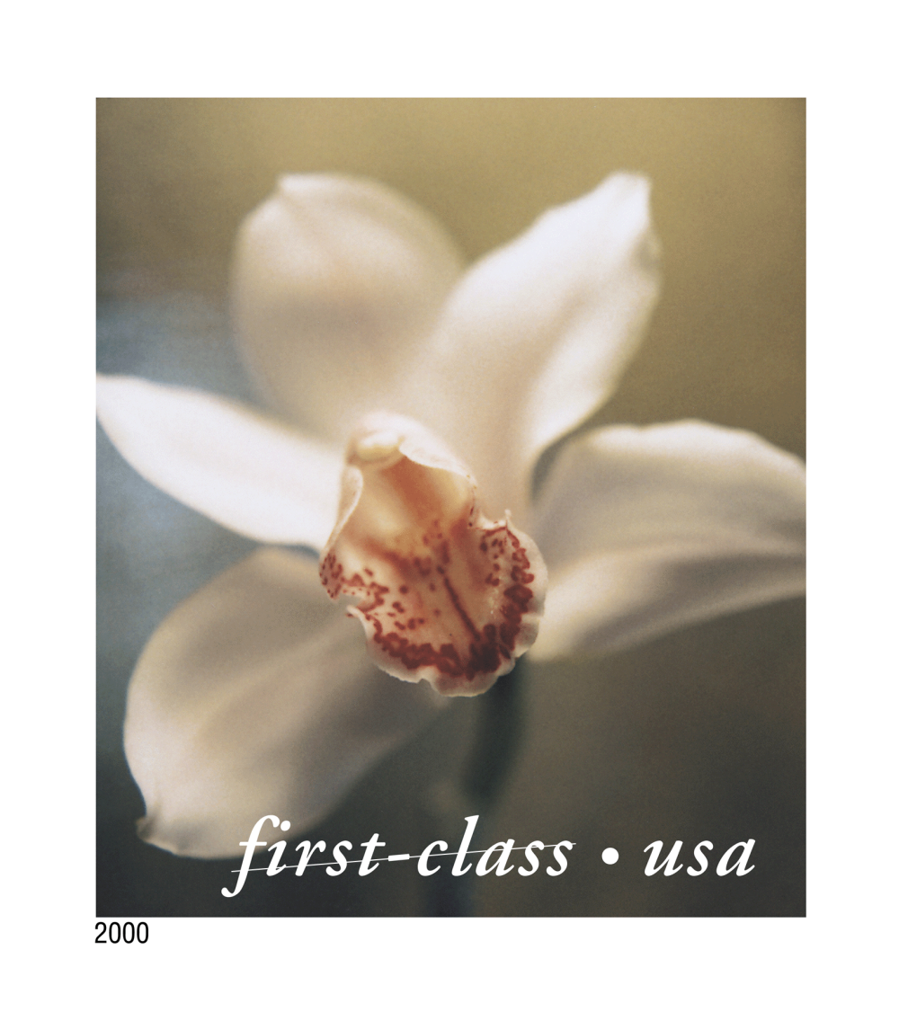 2000 Flowers Stamps | Forever Stamps US Postage Stamps
