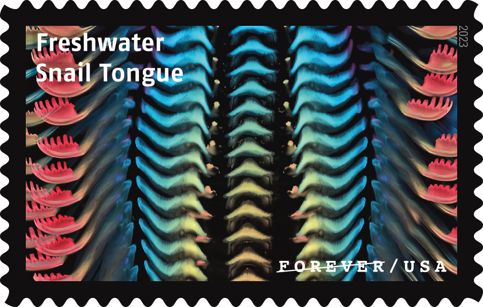 2023 Life Magnified Stamps | Forever Stamps US Postage Stamps