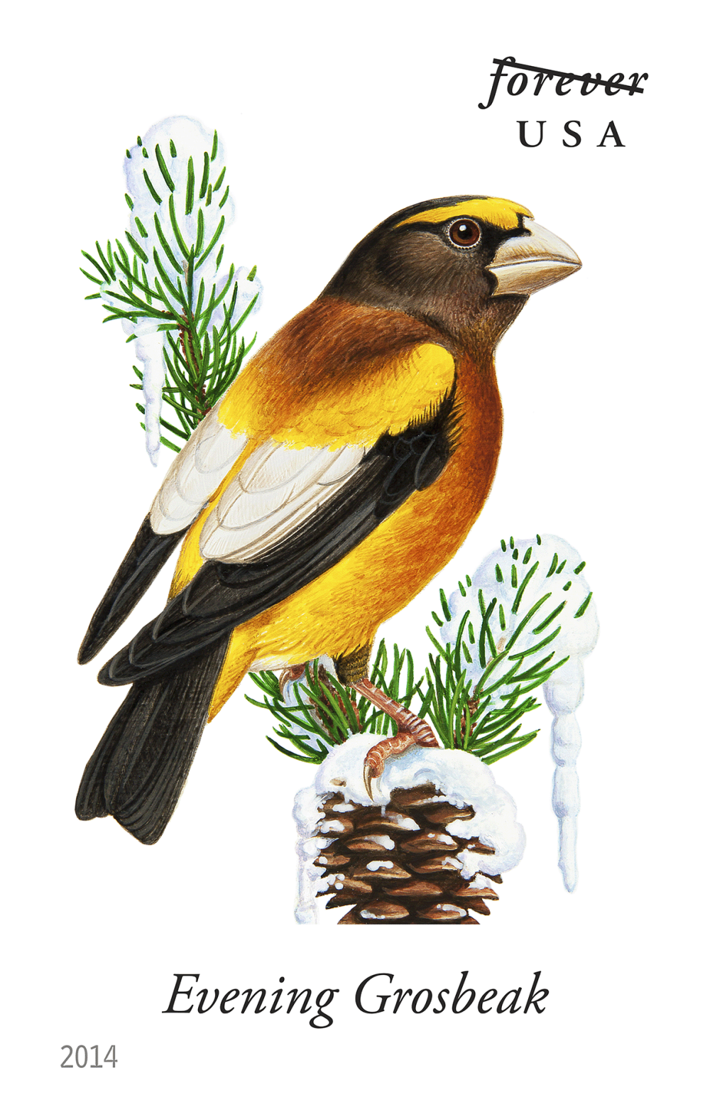 2014 Song Birds Stamps | Forever Stamps US Postage Stamps