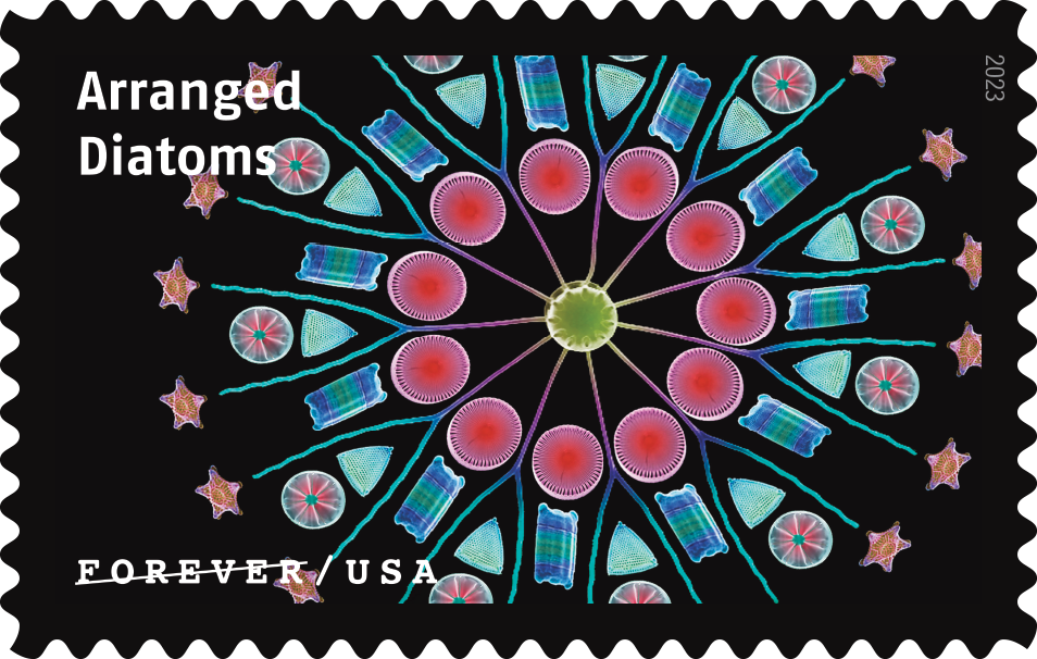 2023 Life Magnified Stamps | Forever Stamps US Postage Stamps