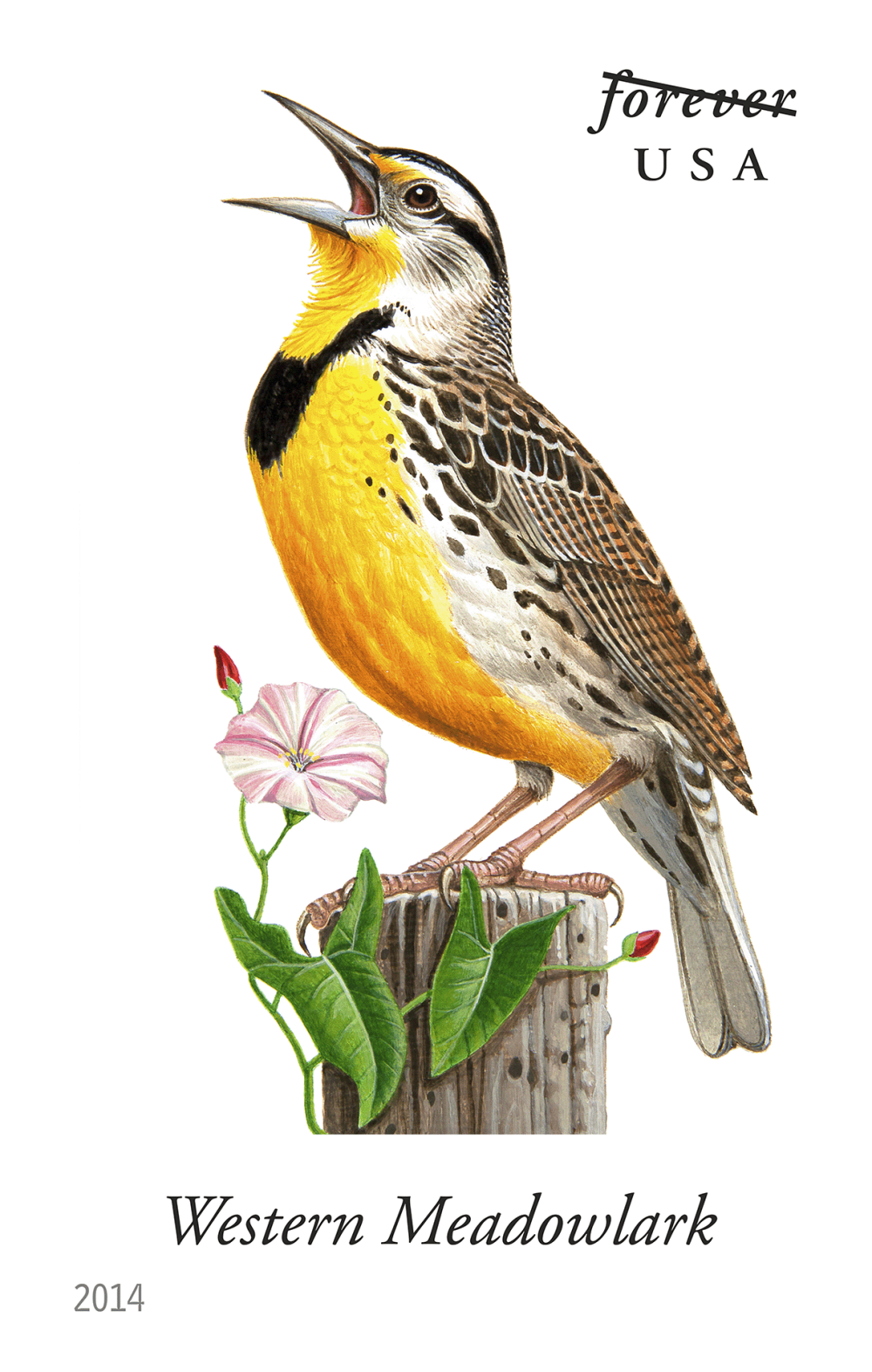 2014 Song Birds Stamps | Forever Stamps US Postage Stamps