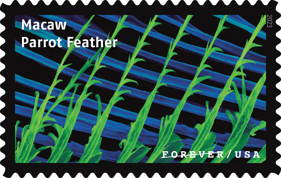 2023 Life Magnified Stamps | Forever Stamps US Postage Stamps