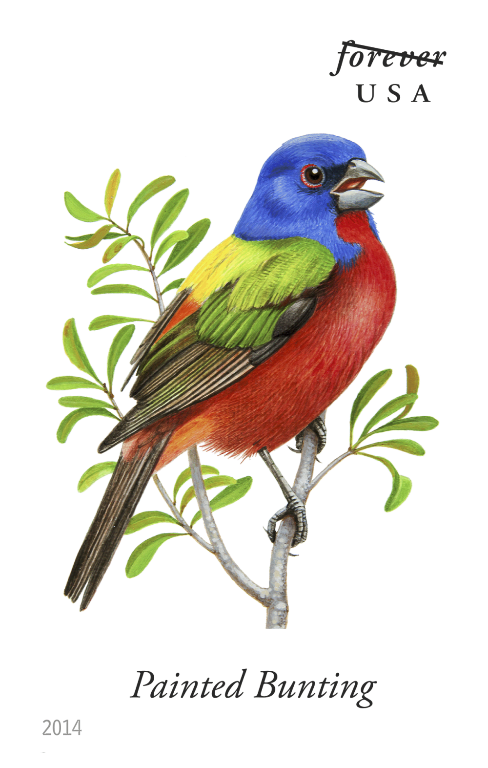2014 Song Birds Stamps | Forever Stamps US Postage Stamps