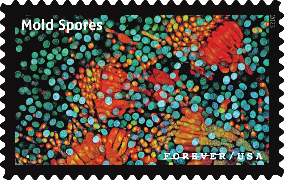 2023 Life Magnified Stamps | Forever Stamps US Postage Stamps