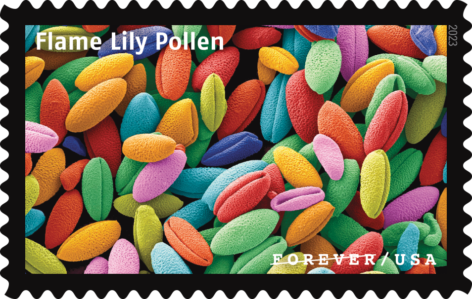 2023 Life Magnified Stamps | Forever Stamps US Postage Stamps