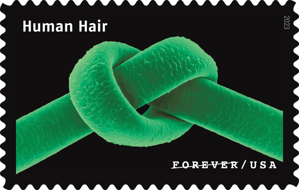 2023 Life Magnified Stamps | Forever Stamps US Postage Stamps