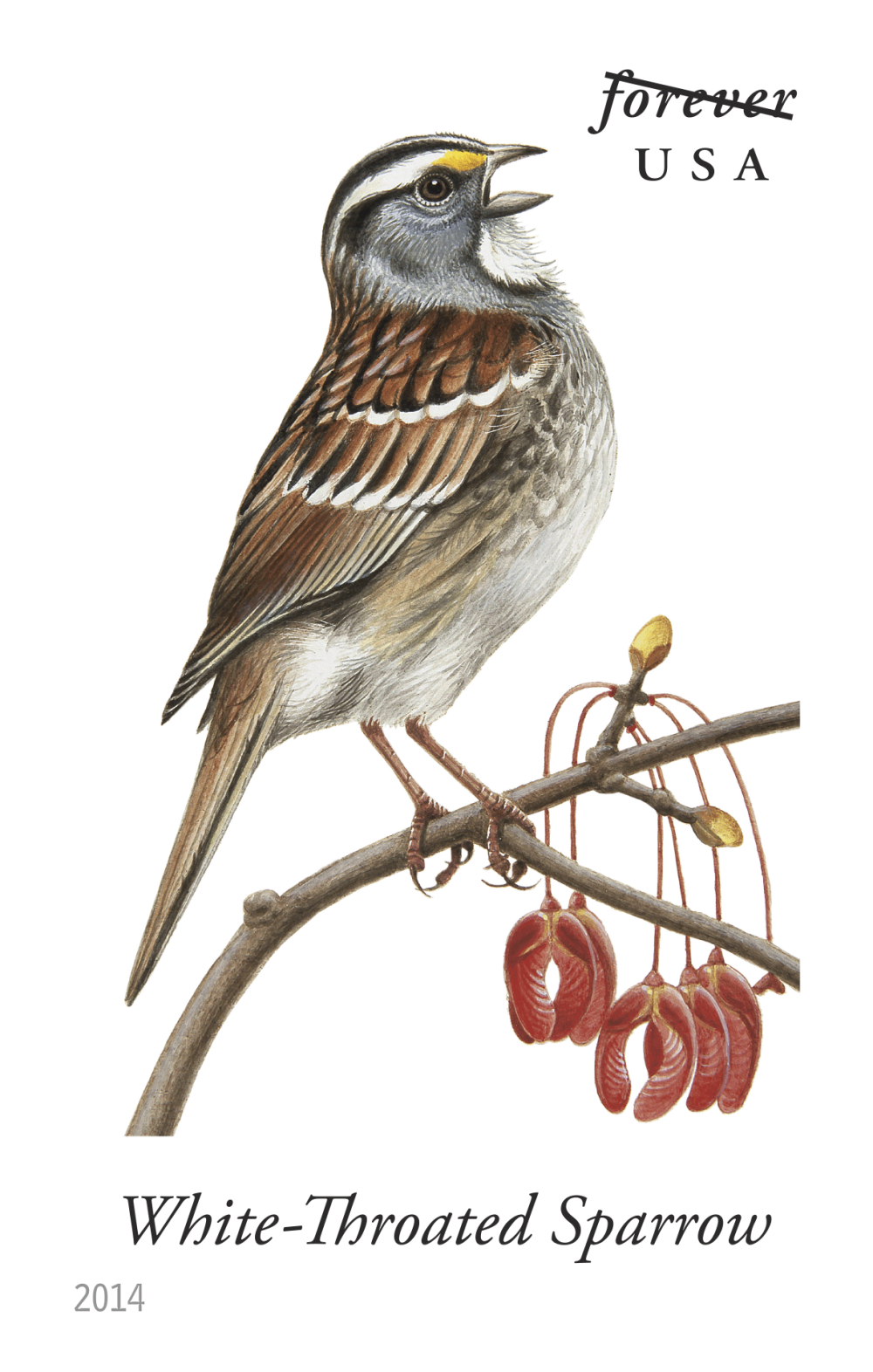 2014 Song Birds Stamps | Forever Stamps US Postage Stamps