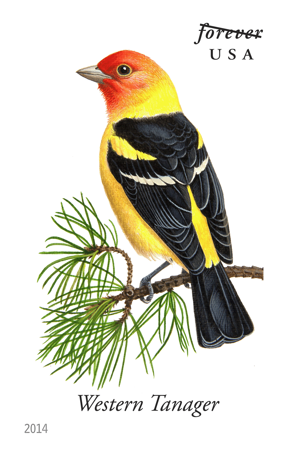 2014 Song Birds Stamps | Forever Stamps US Postage Stamps