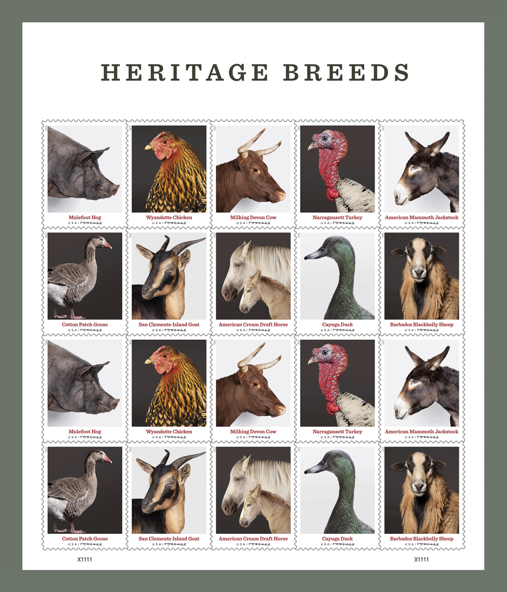 2021 Heritage Breeds Stamps | Forever Stamps US Postage Stamps