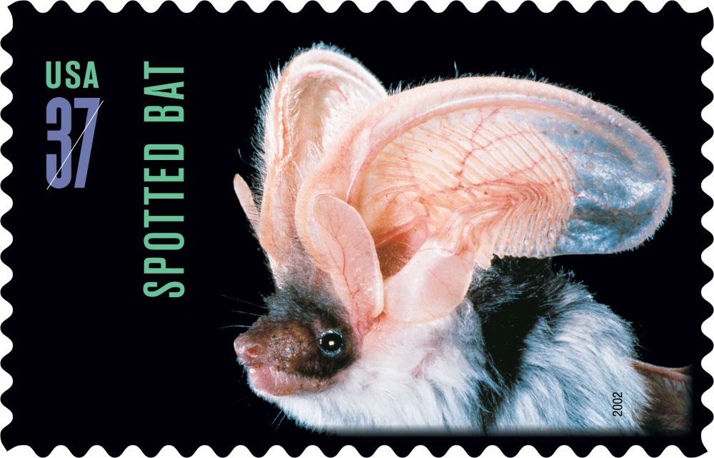 2002 American Bats Stamps | Forever Stamps US Postage Stamps