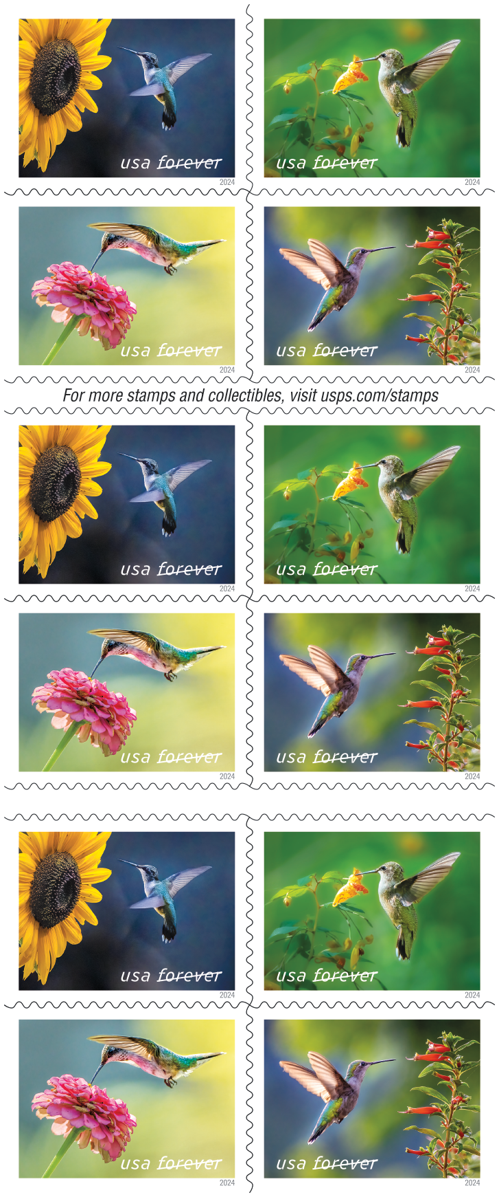 2024 Garden Delights Stamps | Forever Stamps US Postage Stamps
