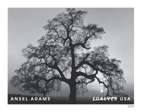 2024 Ansel Adams Stamps | Forever Stamps US Postage Stamps