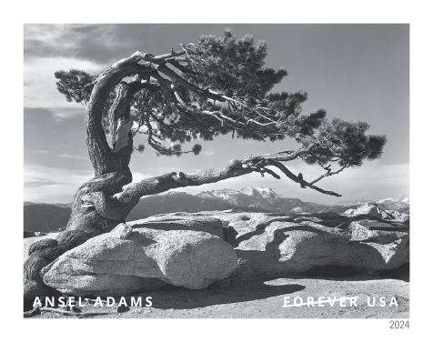 2024 Ansel Adams Stamps | Forever Stamps US Postage Stamps