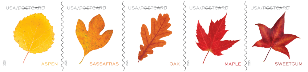2025 Vibrant Leaves Stamps | Forever Stamps US Postage Stamps