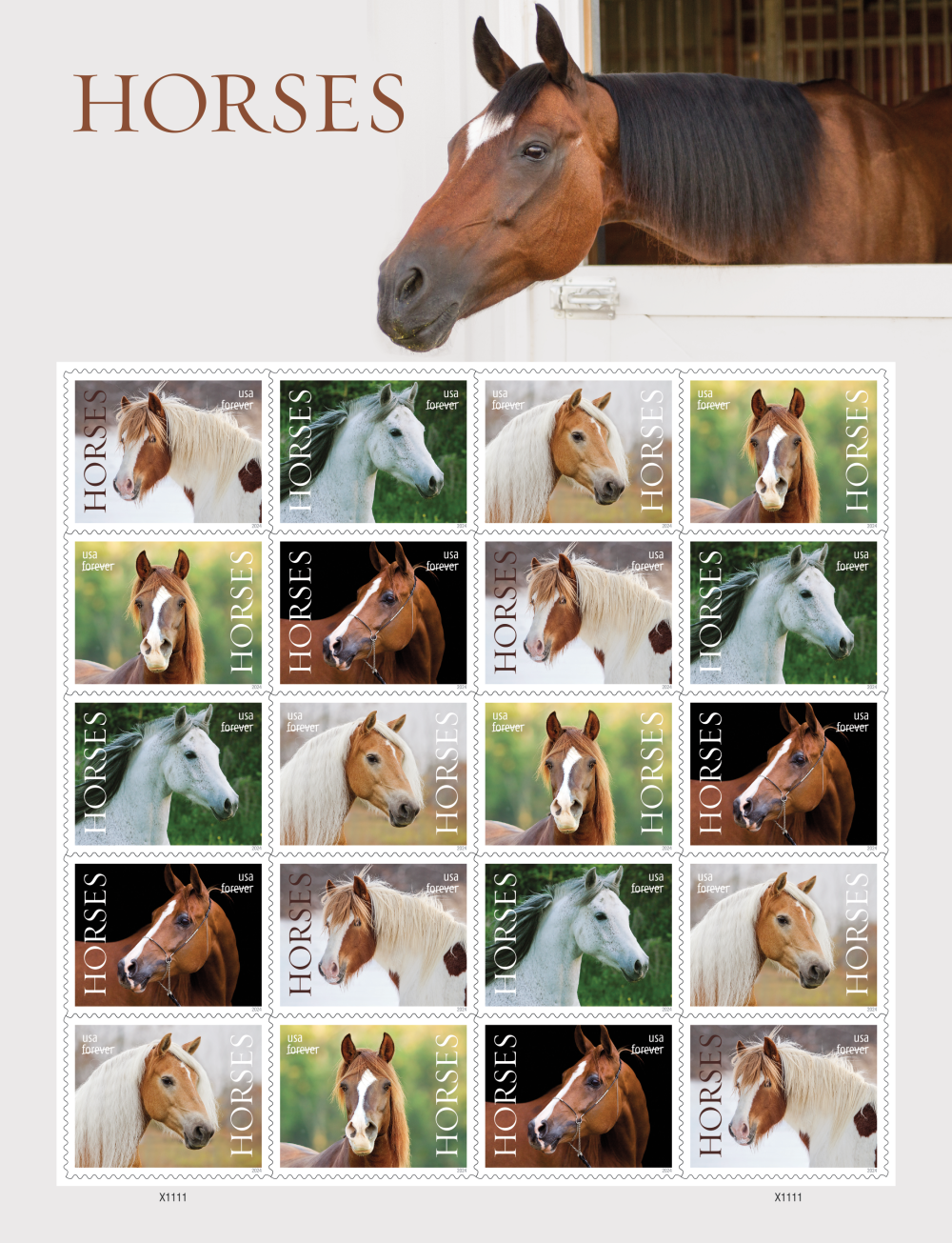 2024 Horses Stamps | Forever Stamps US Postage Stamps