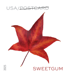 2025 Vibrant Leaves Stamps | Forever Stamps US Postage Stamps