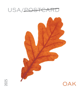 2025 Vibrant Leaves Stamps | Forever Stamps US Postage Stamps