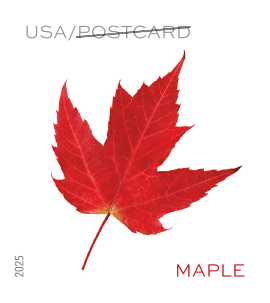 2025 Vibrant Leaves Stamps | Forever Stamps US Postage Stamps