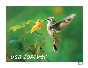 2024 Garden Delights Stamps | Forever Stamps US Postage Stamps